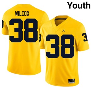 Embroidery Bryce Wilcox #38 College Football Maize Youth Michigan Jersey 882423-629
