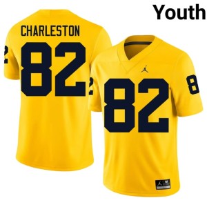 Embroidery U of M Maize College Football Youth #82 C.J. Charleston Jersey 204962-445