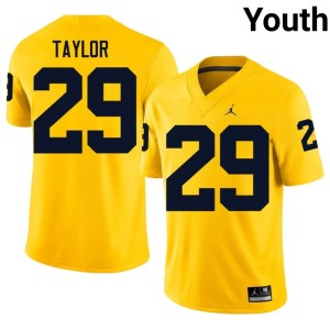 Stitched U of M Youth #29 Maize College Football Chase Taylor Jersey 993231-645