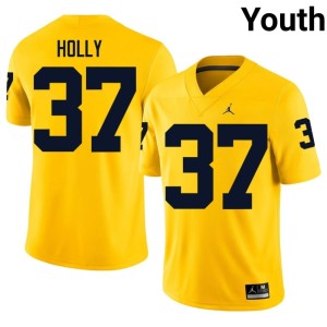Alumni Julius Holly Maize Youth College Football University of Michigan #37 Jersey 226232-376