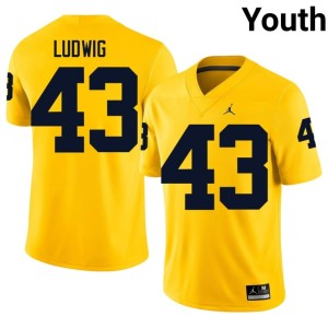 2026-27 University of Michigan Wolverines Maize Youth Zach Ludwig College Football #43 Jersey 569644-457
