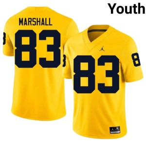 Official Youth #83 Zack Marshall College Football Maize UMich Jerseys 415675-732