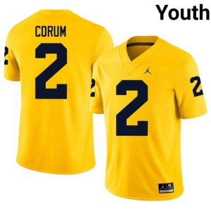 Embroidery UMich College Football Maize Blake Corum #2 Youth Jerseys 763645-695